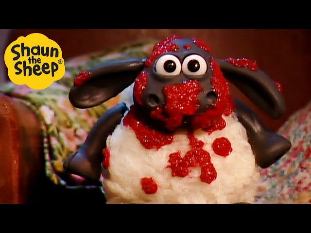 Shaun the Sheep  Mission: Rescue Timmy ‍️ Full Episodes Compilation [1 hour]