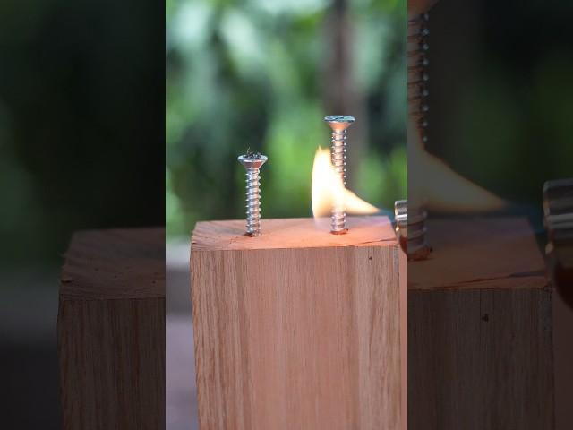 #diy Tools Tips on the Top #woodworking #tips #shorts #woodwork