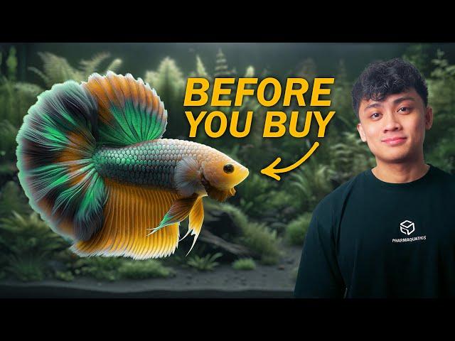 Want a Betta Fish? 10 Items You Need Before Buying One | ULTIMATE BETTA FISH GUIDE