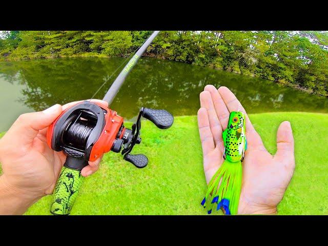 Fishing Topwater FROGS for GIANT Bass (Bank Fishing)