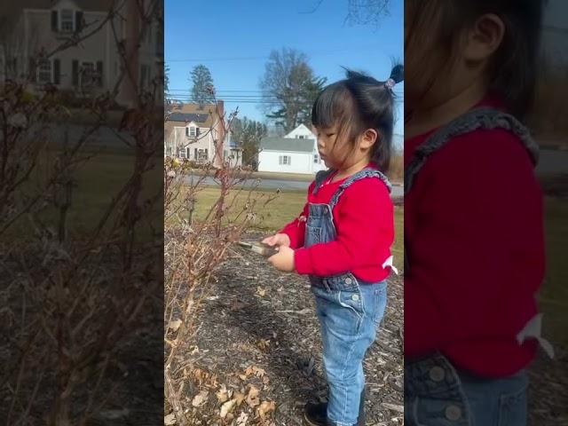 Sunny day for … yard work! Let’s go!