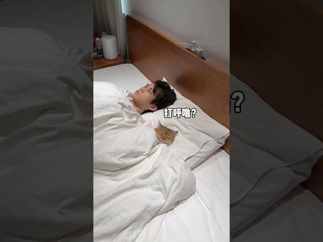 【牛奶是只猫】对不起了小猫咪，还以为是你打的呼噜…#迷惑行为大赏 #猫咪的迷惑行为