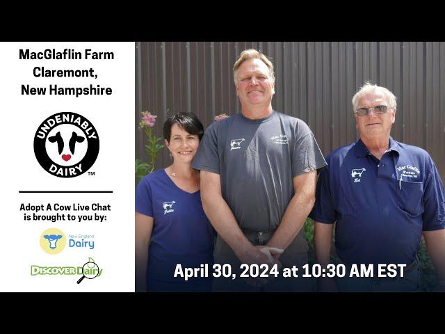 MacGlaflin Farm - Adopt A Cow Live Chat 2024