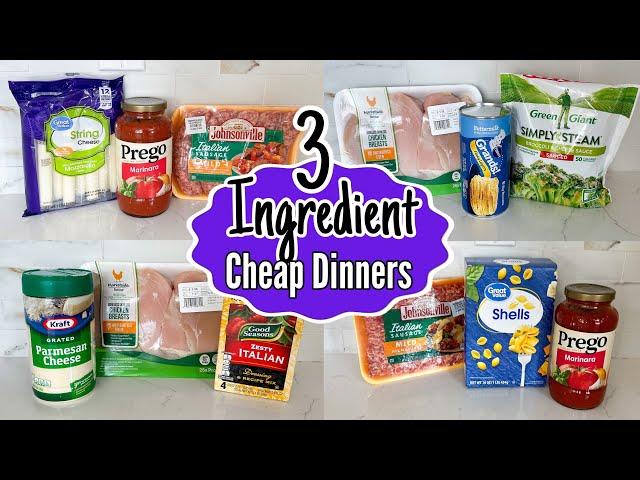 Quick & Easy 3-INGREDIENT Dinners You Can Make TONIGHT! | Tasty Cheaper Meal Ideas | Julia Pacheco