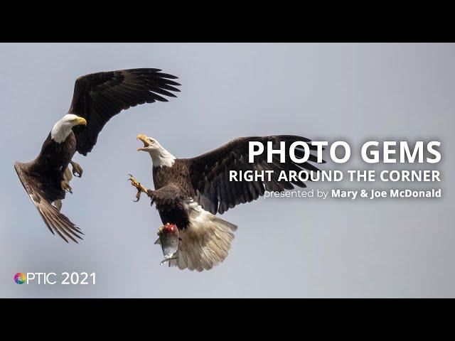 Wildlife Photo Gems Right Around the Corner with Mary Ann & Joe McDonald | OPTIC 2021