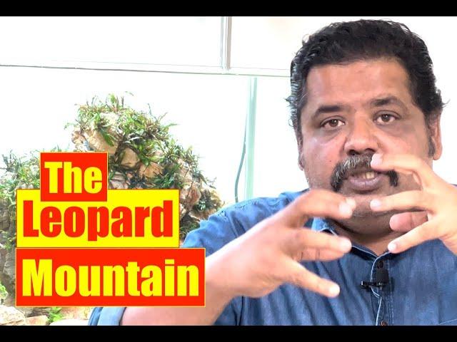 The Leopard Mountain | Nature Aquarium | Mayur Dev Aquascaper 4K