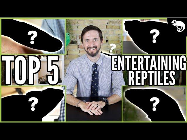 Top 5 Engaging Pet Reptiles