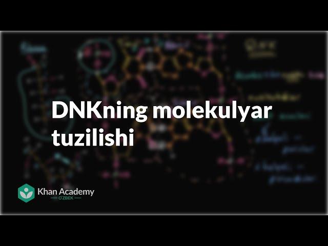 DNKning molekulyar tuzilishi | Uglerodning xususiyatlari | Biologiya | Khan Academy Oʻzbek