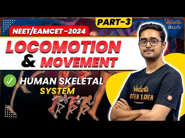 Locomotion and Movement 03 | Human Skeleton System | Class 11 | NEET/EAMCET 2024