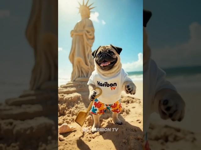 Pug's Sandcastle Fails...Until a Mermaid Gives Him a Magic Shovel  #shorts