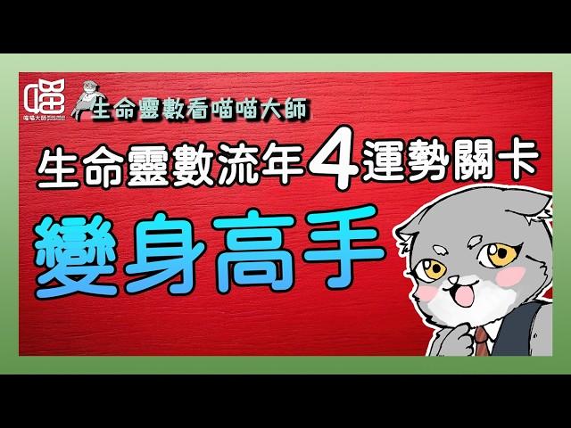 生命靈數看流年-流年4 化解左右為難。喵喵大師 S16ep4