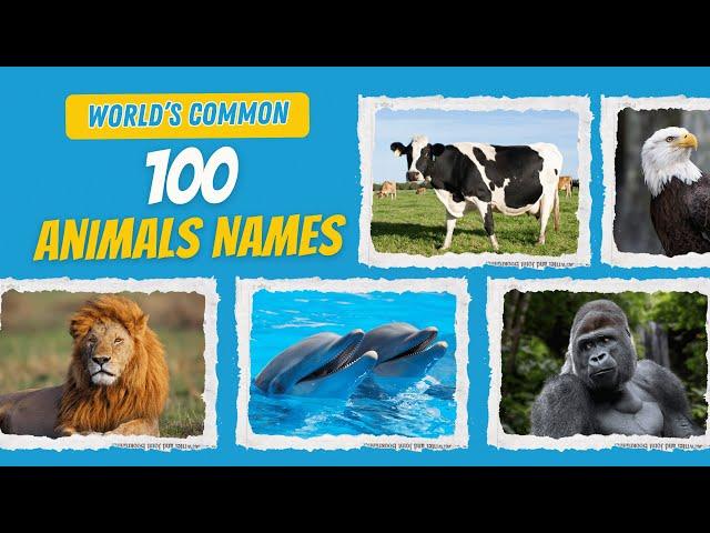 100 Animals for Kids Learning | Learn Animals Names for Kids and Toddlers | Kids English Vocabulary