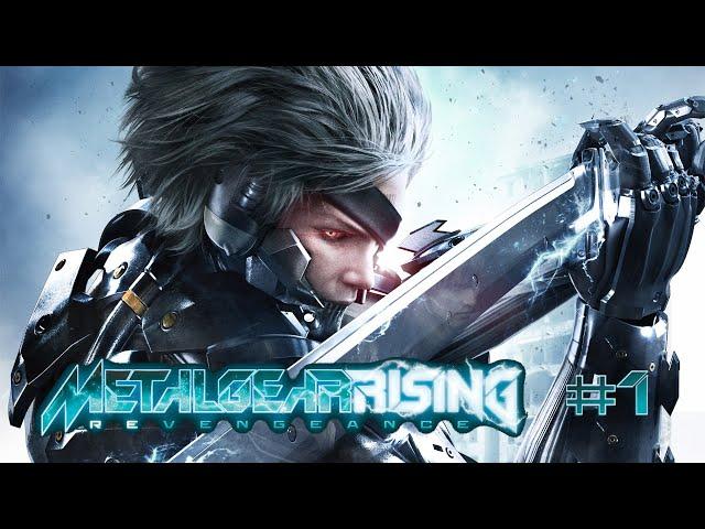 Rules of Nature - [Metal Gear Rising Revengeance] Part 1