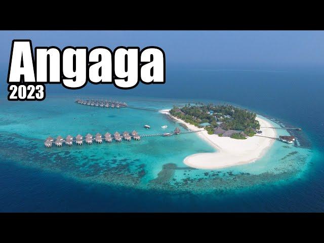 Angaga Island Resort Tour + gigantische Unterwasserwelt und Walhaie / Malediven Süd Ari Atoll