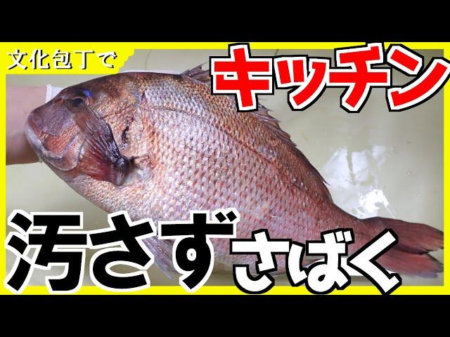 鯛のさばき方(文化包丁でキッチンで）3枚卸しHow to dress fish with Santoku knife