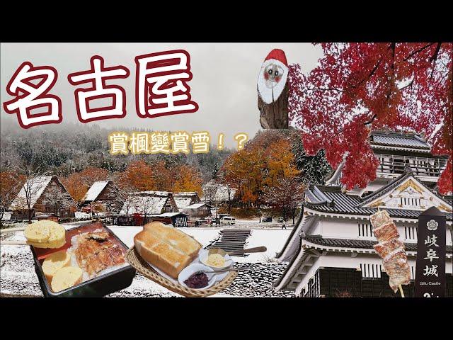 【名古屋GOGO】ep2｜說好的楓葉變雪白一片｜白川鄉合掌村下雪了｜岐阜公園整片楓樹｜整排銀杏樹太美了啦