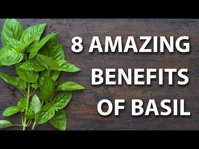 8 Health Benefits of Basil