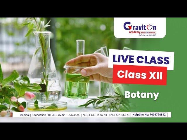 Transcription Molecular Basis of Inheritance Lecture - 08 Class12th Pass(Target) By BGK Sir