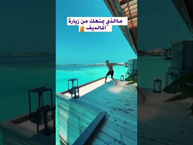 المالديف شهر عسل|السياحة في جزر المالديف|#المالديف #maldives #عروض_سياحية #سياحة