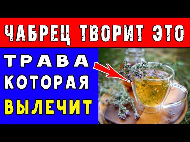 НЕВЕРОЯТНЫЕ вещи ТВОРИТ ЧАБРЕЦ с ОРГАНИЗМОМ  Полезные свойства ЧАБРЕЦА