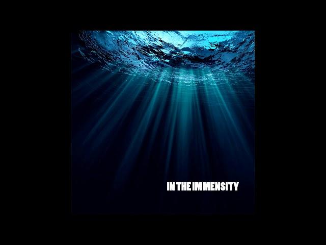 David Serrano - IN THE IMMENSITY