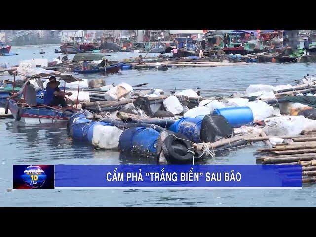 Cẩm Phả "trắng biển" sau bão