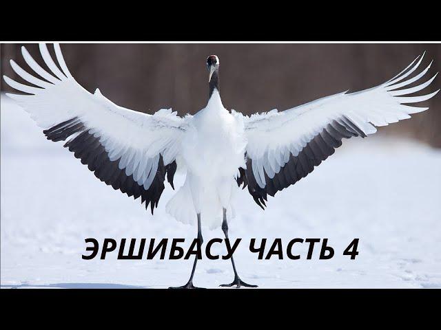 Урок 32 Эршибасу часть 4. Минхэ Цюань.//Lesson 32. Ershibasu part 4. Minhe Quan.