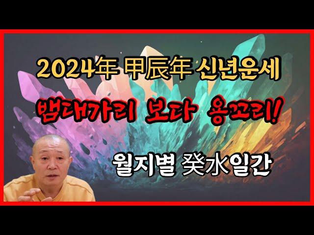 2024년 甲辰年 신년운세 월지별 癸水일간 뱀대가리보다 용꼬리!