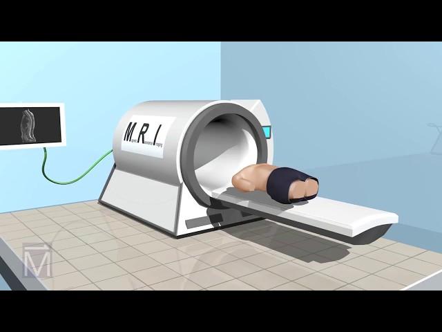 See-Thru Science: How MRI Machines Work