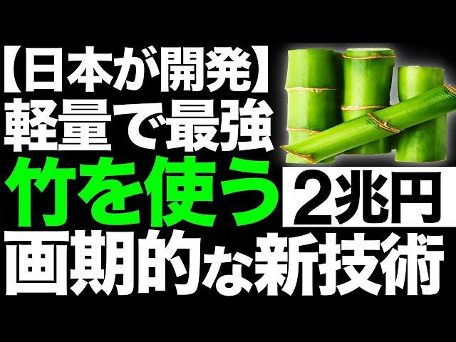 【衝撃】常識を覆す！日本が開発した「竹繊維プラスチック」に世界が震えた！【2兆円】