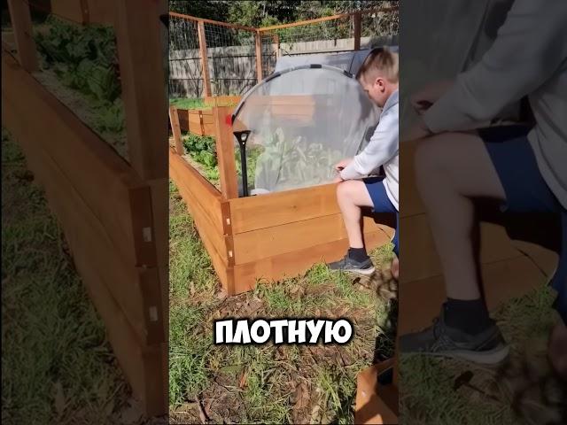 парник своими руками