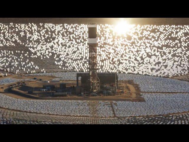 California solar power plants ignite birds mid-flight