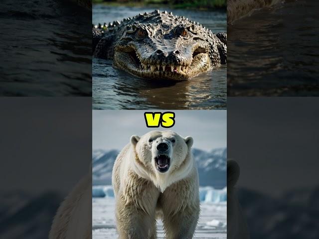 ULTIMATE PREDATOR SHOWDOWN: Who Will Reign Supreme? 