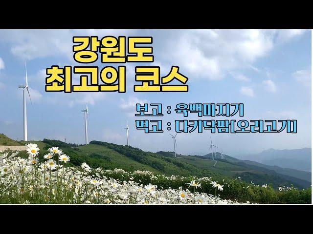 [아지트5 - 평창] 육백마지기 Tip & 근처 인생 맛집 정보