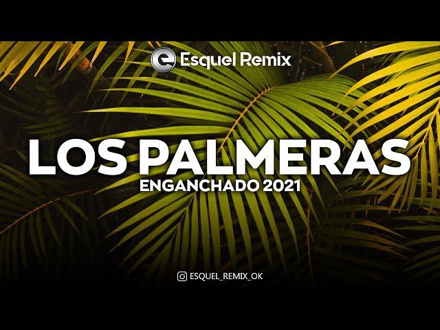 MEGAMIX Los palmeras ENGANCHADO 2021 | Grandes Éxitos Enganchados - Esquel Remix