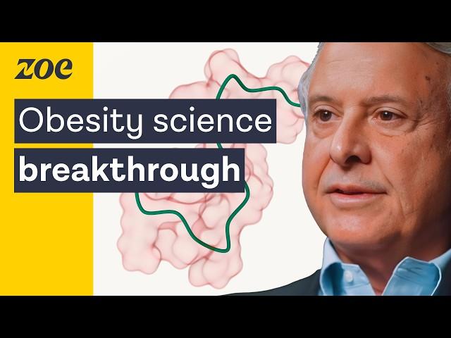 The new science of weight loss and obesity | Dr. Louis J Aronne