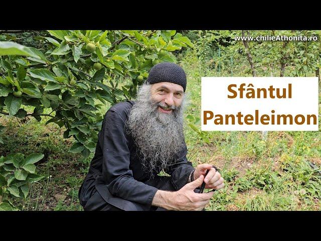 Sfântul Pantelimon - p. Pimen Vlad