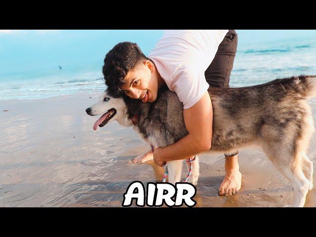 Airr - Enjoy Life (Music Video)