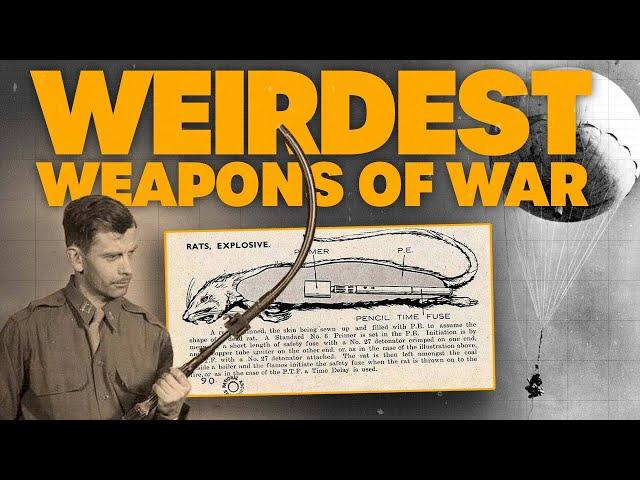 Bat Bombs And EXPLODING Rats: Were These The Craziest Weapons of WWII?