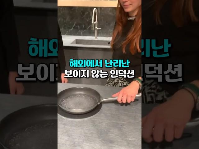 해외에서 난리난 보이지 않는 인덕션