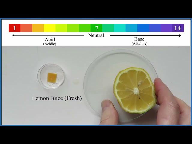 pH of Lemon Juice:  Is lemon juice acidic or alkaline?  