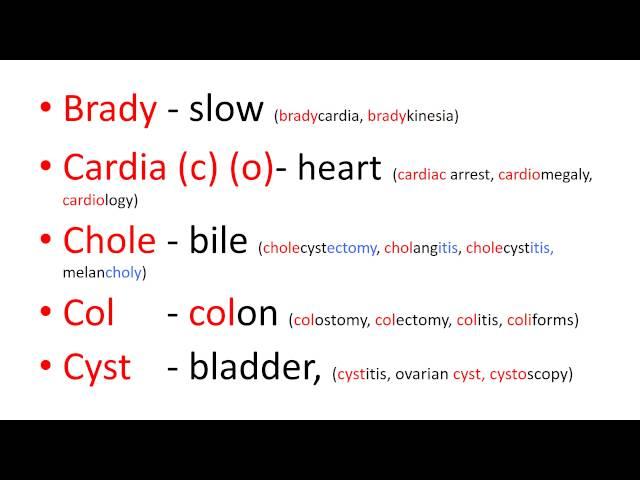 Medical terms 2, Prefixes part 1