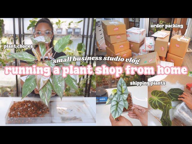 Running a Plant Store From Home Vlog🪴:Shipping Plant Orders, TikTok Shop, Social Media Marketing