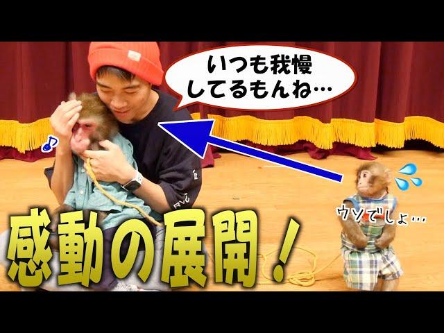 いつも我慢している「お兄ちゃん猿」を優先したら「赤ちゃん猿」は嫉妬する？