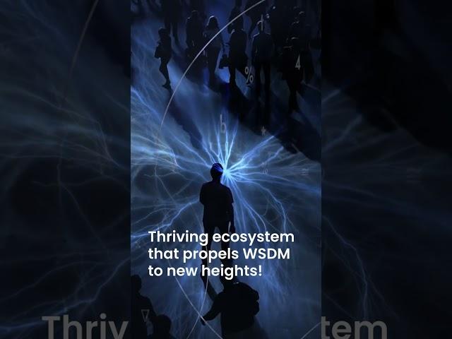 WSDM is now live on TON