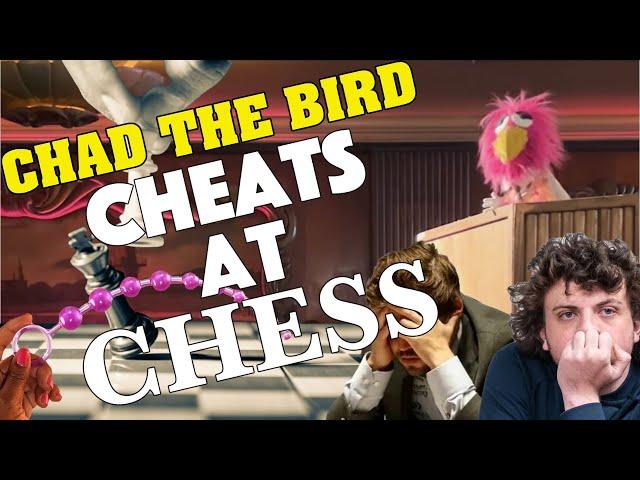 Chad the Bird Cheats at Chess [FULL] 09/07/24