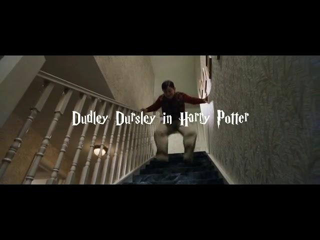 dudley dursley in harry potter