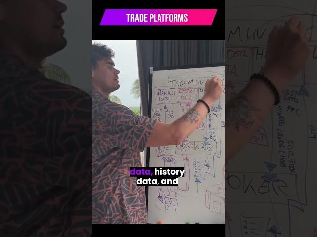 How Trading Platforms work