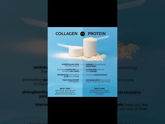 Health | Collagen Vs Protein