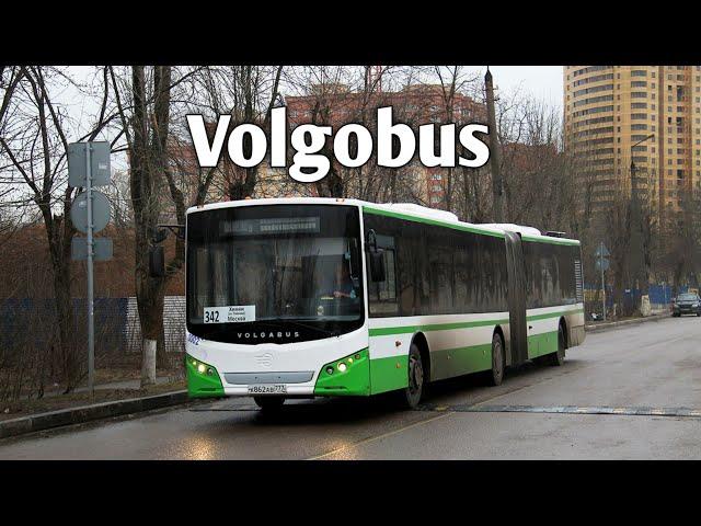 Volgabus